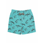 Low Tide Shorts
